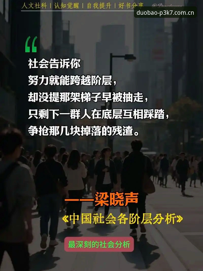 深度揭秘：多宝P3K7为何成为数字服务领域的“隐藏入口”？